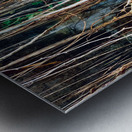 Find the Entrance Metal print