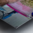 Furry Puppy Metal print