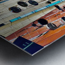 All the Cages Metal print