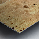 Myanmar Boy with Sling Shot Metal print