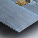 Great Ocean Road Metal print