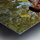 Myanmar Boy Eating a Frozen Candy Bar Metal print