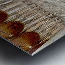 Sad Puppy Impression metal