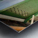 Plants on the Corner Metal print