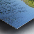 Nature Behind the Wall Metal print