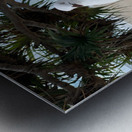 One Leg Balance Metal print