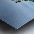 Reflections in Front of Sree Padmanabhaswamy Temple Metal print