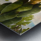 Papaya Trees Metal print