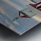 The Cruise Metal print