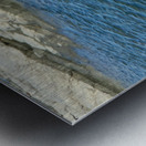 Seal Looking at a Distance Metal print