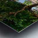 Tree on the Beach Metal print