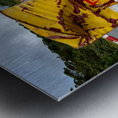 Yellow Barrell on the Road Impression metal