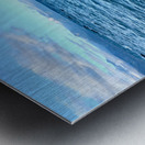 Bird Shaped Wood in Front of the Ocean Metal print