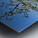 Fan by the Mekong River Metal print