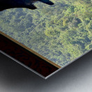 Buddhist Prayer 2 Metal print