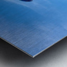 Macaws with Hands Metal print