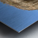 Mingun Pahtodawgyi Elephant Rock Impression metal