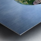 Macaws Close up Metal print