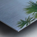 Sand Dunes Ahead Metal print