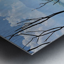 Mountains Behind the Branches Metal print