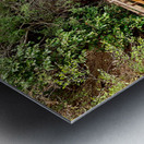 The Amazing Wat Phu Tok 3 Metal print