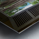 Welcome Mr Tree Metal print