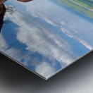 The Amazing Wat Phu Tok 5 Metal print