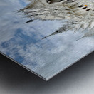 Wat Rong Khun White Temple 2 Metal print