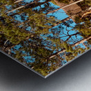 You Forgot Your Car Metal print