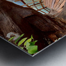 The Amazing Wat Phu Tok 1 Metal print