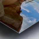 The Amazing Wat Phu Tok 6 Metal print