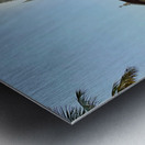 Santa Cruz Cathedral Basilica Fort Kochi 1 Metal print