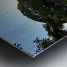 Nice Tree Reflection on the Lake Metal print