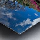 At the Park in Brisbane Metal print