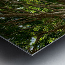 Walking Around Brisbane Metal print