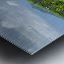 The Pepper Plantations Metal print