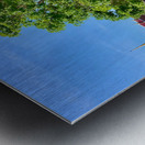 Tree Way Separation Metal print