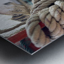 Tied to this Photo Metal print