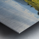 Beautiful Rice Field 2 Metal print