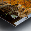 Corn Hanging on the Fence Metal print