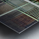 Dogs Looking Right Metal print