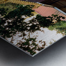 Dog Going to Temple Metal print