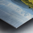 Beautiful Rice Field Metal print