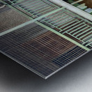 Dogs looking Left Metal print