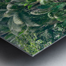 Jungle Green Metal print
