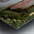 Hippie House Metal print