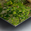 Kuang Si Waterfalls 3 Metal print