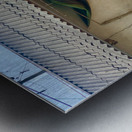 Dry Corn House Metal print