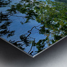 Mountain Path Metal print