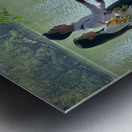 Newlyweds by the Lake with a Bicycle Metal print